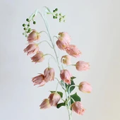 Yapay Çiçek Çan Çiçeği Gülkurusu 85cm Tek Dal Kumaş Çiçek Uzun Dal thumbnail 2