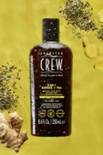 American Crew Men Ginger + Tea 3’ü 1 Arada Şampuan 250ML - 6
