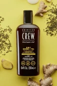 American Crew Men Ginger + Tea 3’ü 1 Arada Şampuan 250ML - 5