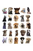 Sevimli Köpek Çıkartmaları Laptop Notebook Tablet Sticker Seti - 1