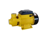 Attlas QB60 Pirinç Fanlı Döküm Gövdeli 0,5 Hp Santrifüj Pompa - A0801010 thumbnail 1