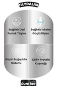 PureLife PLUS TAVUK ETLİ YETİŞKİN KEDİ KONSERVE MAMA 400GR 12li Paket - 3