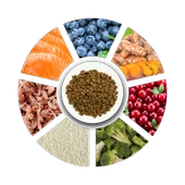 Prochoice Yetişkin Hassas Köpekler İçin, Hipoalerjenik, Balıklı Ve Pirinçli Kuru Mama 3 kg - 3