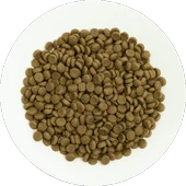 Prochoice Yetişkin Kediler İçin, Hipoalerjenik, Kuzu Etli Ve Pirinçli Kuru Mama 2 kg - 4