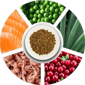 Prochoice Kısırlaştırılmış Kediler İçin, Hipoalerjenik, Somon Balıklı Ve Karidesli Kuru Mama 15 kg thumbnail 4