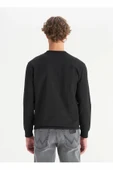 Wrangler Erkek Interlock Sweatshirt W2520534001 thumbnail 5