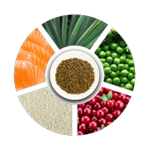 Prochoice Yetişkin Kediler İçin, Hipoalerjenik, Somon Balıklı Ve Pirinçli Kuru Mama 2 kg thumbnail 5