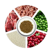 Prochoice Yetişkin Kediler İçin, Hipoalerjenik, Kuzu Etli Ve Pirinçli Kuru Mama 15 kg thumbnail 5