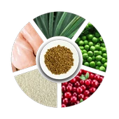 Prochoice Kısırlaştırılmış Kediler İçin, Hipoalerjenik, Tavuk Etli Ve Pirinçli Kuru Mama 2 kg thumbnail 5