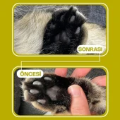 Olivacat Zeytin Çekirdeğinden Üretilen Doğal Tozsuz Kedi Kumu 7L x 2 Adet thumbnail 3