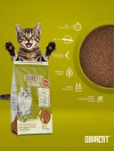 Olivacat Zeytin Çekirdeğinden Üretilen Aktif Karbonlu Tozsuz Doğal Kedi Kumu 8 L 2 Adet - 2