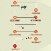 Olivacat Zeytin Çekirdeğinden Üretilen Doğal Tozsuz Kedi Kumu 7L x 2 Adet thumbnail 5