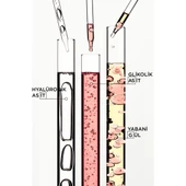 Gloss Absolu Elektriklenmeye Eğilimli Saçlar Için Parlaklık Veren Şampuan 250 ml thumbnail 9