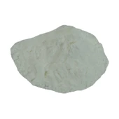 Hindistan Cevizi Yağsız Kuru 100 Gr Paket thumbnail 1