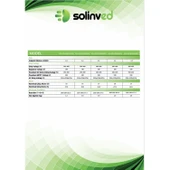 Solinved 2,2 kW -3 HP Monofaze(1*220V) Solar Sürücüsü - 3