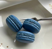 Ekşi yaban mersini - 1