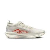 Pegasus Trail 5 GORE-TEX Erkek Koşu AyakkabısıFQ0908-100 thumbnail 1