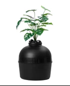 Dekoratif Kedi Tuvaleti & Evi - 7