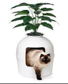 Dekoratif Kedi Tuvaleti & Evi - 9