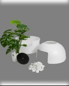 Dekoratif Kedi Tuvaleti & Evi - 4