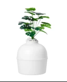 Dekoratif Kedi Tuvaleti & Evi - 2