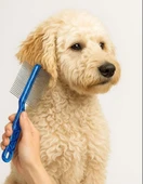 Mucit Home  Çift Taraflı Kıtık Açıcı Tarak – Kedi Ve Köpekler Için Tüy Açıcı Fırça 1 Adet thumbnail 1