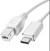 pilelistore ZR360 Ads 501 Type-C Yazıcı Kablosu 2 M - 1