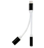 pilelistore ZR310 Ft Ac 20 Type-C 2 İn 1 Çevirici - 1