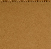 Alex Schoeller Spiralli Kraft A5 60yp Eskiz Defteri ALX.1039 thumbnail 3