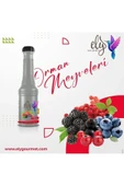 ORMAN MEYVE PÜRE SOS - 1