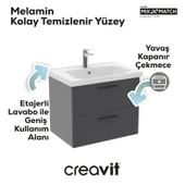 D10 65cm.2CK.Lav.Dlp.ML.GRI.ML.ANT thumbnail 2