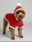 Buddy Kapşonlu Yılbaşı Köpek Sweatshirt Noel - 5