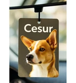 Kişiye Özel Oto Kokusu ( 2 adet ) thumbnail 3