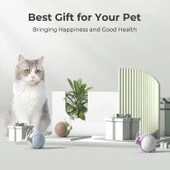 Cheerble Akıllı Kedi Oyuncağı - Şarjlı Salyangoz, Kahverengi, 7x5x5.8 cm - 3