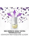 Air Wick Elektrikli Oda Kokusu Yedek Şişe Lavanta - Esansiyel Yağlar Içerir x 2 - 4