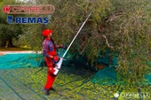 Cifarelli SC 605 Zeytin Silkeleme Makinesi thumbnail 2