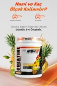 NOWUP NUTRITION Creatine Power Effect | Kas Büyümesi Ve Güç Artışı | 360 gr | Tropikal Meyve Aromalı thumbnail 7