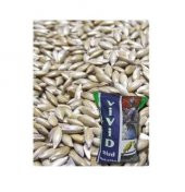 Vivid Bird Sade Kanarya Yemi 20Kg - 1