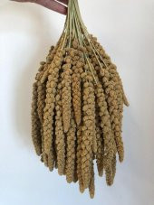 Sarı Dal Darı- 2kg-Kuş Yemi - 1