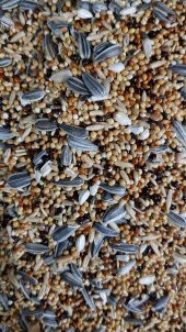 10KG CENNET-SULTAN PAPAGANI PARAKET YEMİ ÖZEL KARIŞIK - 1