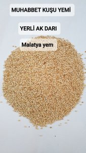 25Kg Elenmiş Ak Darı Muhabbet Kuşu Yemi Ucretsız Kargo - 1