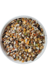 EKONOMİK KARIŞIK GÜVERCİN YEMİ 10KG ÜCRETSİZ KARGO - 1