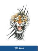 TBS-8480 ORTA BOY KAPLAN DESEN RENKLİ GEÇİCİ DÖVME-TATTO thumbnail 1