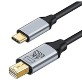 ZR126 Siyah Type-C Mini Dp Çevirici Kablo 1,8 M - 1