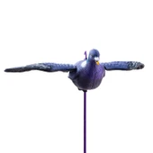 Tahtalı Güvercin Mühresi - Kanatlı - Gerçekçi Tasarım 3 Boyutlu - HDD 011W T - 5