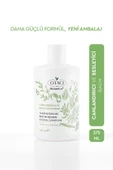 Otacı Botanics + Canlandırıcı & Besleyici 10 Bitki Özü  Şampuan 375ml thumbnail 1