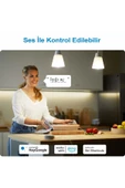 Wiz Wi Fi Renkli Ambiyans Akıllı Ampul 100w A67 E27 Normal Duy - 4