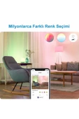 Wiz Wi Fi Renkli Ambiyans Akıllı Ampul 100w A67 E27 Normal Duy - 6