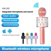 Bluetooth Karaoke Mikrofon-Findit thumbnail 4
