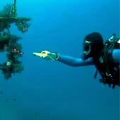 Süper Parlak LED Su Altı Dalış Feneri – Taşınabilir, Su Geçirmez ve Darbeye Dayanıklı El Feneri (2818) thumbnail 4